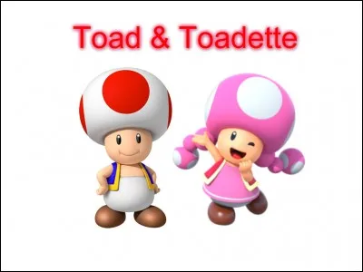 Toad et Toadette forme une équipe. Laquelle ?