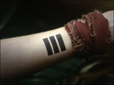 Que représente les bâtons sur les bras des joueurs ?