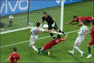 Qui a marqué les 3 buts contre l'Espagne ?
