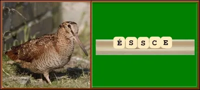 Quelles sont les lettres manquantes ?