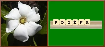 Quelles sont les lettres manquantes ?