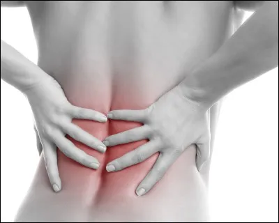 Combien de vertèbres comporte la colonne vertébrale ?