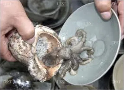 Dans quel pays déguste-on un poulpe vivant en entier ?