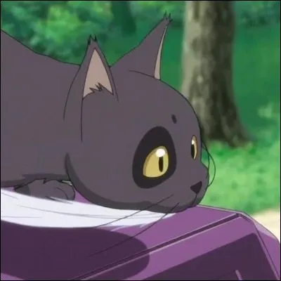 Le chat nommé Arthur appartient à Milly Ashford.