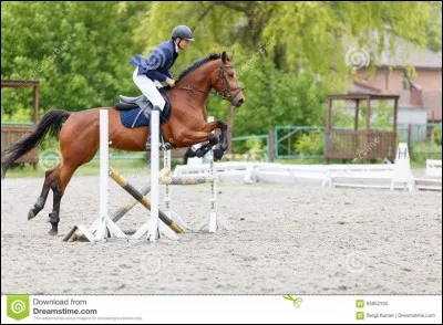 Que faut-il faire lorsque l'on saute un obstacle ?