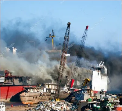 Quelles sont les prophéties qui les concernent ?