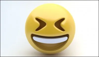 Quelle émotion ressent ce smiley ?