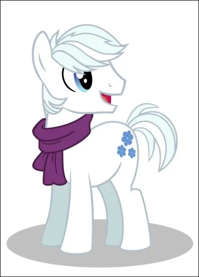 Comment s'appelle ce poney ?