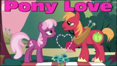 Dans l'épisode 17 de la saison 2, qu'est-ce qui fait que Big McIntosh et Mlle Cheerilee's tombent amoureux ?