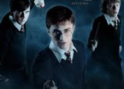 Test Quel garon de ''Harry Potter'' es-tu ?