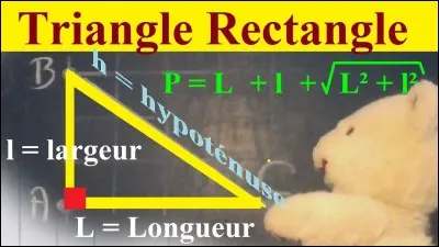 Dans un triangle rectangle, le cosinus d'un angle est égal...