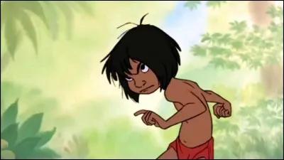 Par qui Mowgli est-il adopté ?