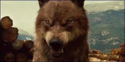 Dans le film "Twilight", ce loup se nomme :