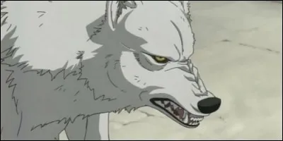 Dans l'anime "Wolf's Rain", le loup Kiba est en réalité un humain.