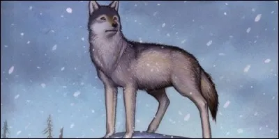 Dans le roman "Croc-Blanc" de l'écrivain américain Jack London, quel est le surnom du père de Croc-Blanc ?