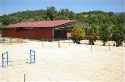 Quelle est la différence entre un manège et une carrière ?