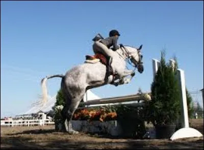 Que signifient les initiales TREC & CSO ?