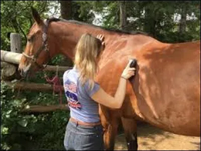 À quoi sert le pansage d'un cheval ?