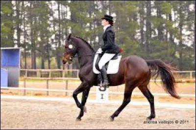 Que faut-il faire pour s'arrêter ?