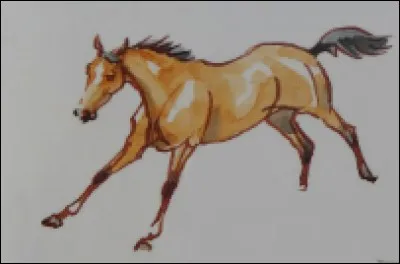 Quelle est la couleur de ce cheval ?