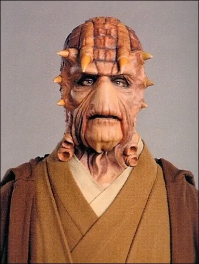Maintenant on va parler de Jedis pas très connus.
 Comment s'appelle ce Jedi ?
