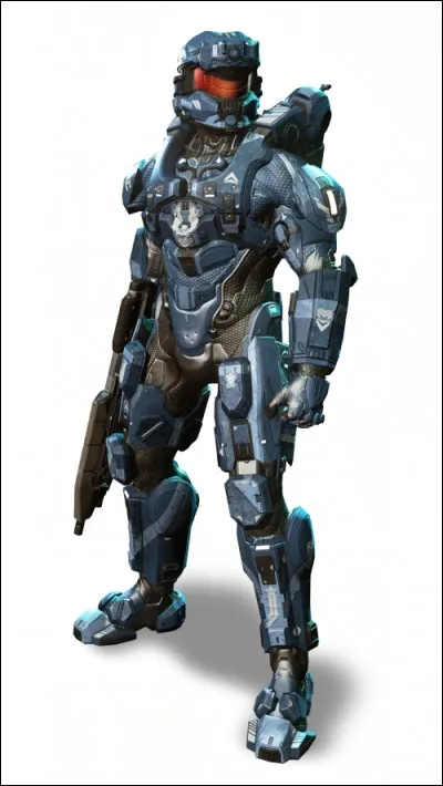 Comment s'appelle cette armure ?