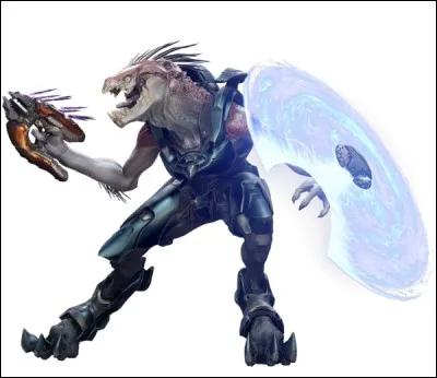 Quel est le nom grec des Kig-Yars (rapaces) ?