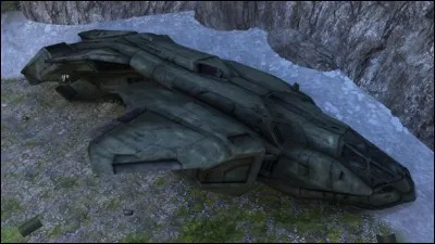 Lequel de ces pélicans ne participe pas au raid du Kilimandjaro ?