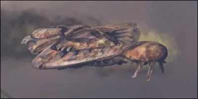 Quel croiseur de classe CCS s'écrasa à Voi le 18 novembre 2552 ?