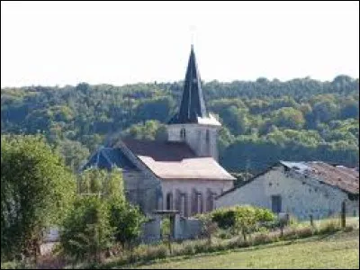 Vous avez sur cette image l'église de la Nativité-de-la-Bienheureuse-Vierge-Marie de Broussey-en-Blois. Petit village Meusien de 57 habitants, il se situe dans l'ancienne région ...