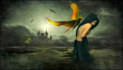 Qui a chanté "Marche à l'ombre" ?