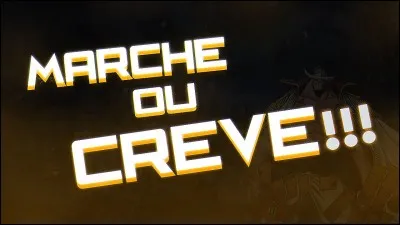 Cochez l'homme ayant écrit "Marche ou crève".