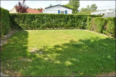 Ils vont être dans un(e)...