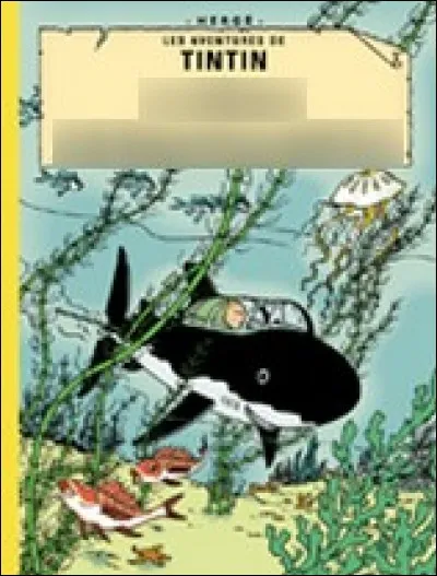 Quel est le nom de cet album ?