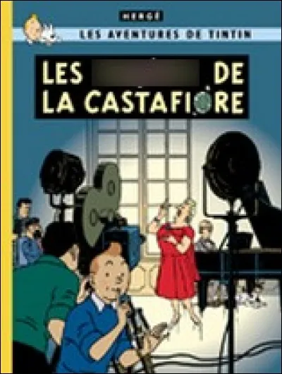 Que possède la Castafiore dans cet autre album ?