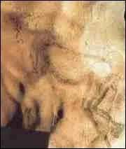 Cette image représentant un homme jouant de la musique est...