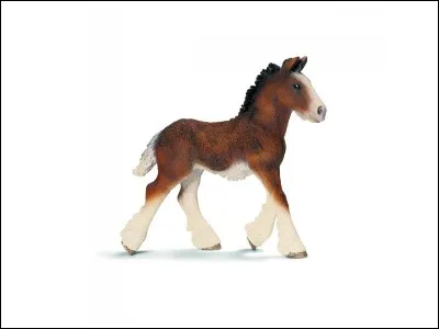 Quelle est la race de cette figurine Schleich ?