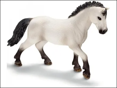 Quelle est la race de cette figurine Schleich ?