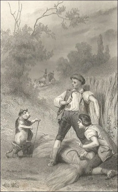 Quel est le v&eacute;ritable titre de ce conte ?