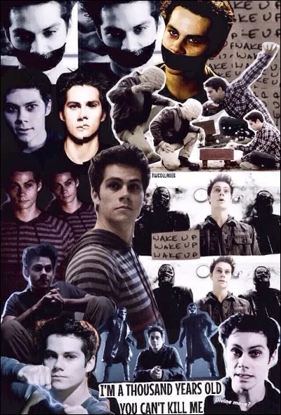 Avec quoi se bat-il ?