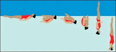 Quelle est cette figure ?