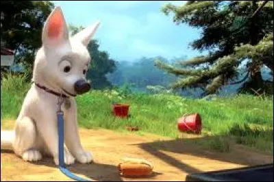Qui double le chien dans ''Volt, star malgré lui'' ?