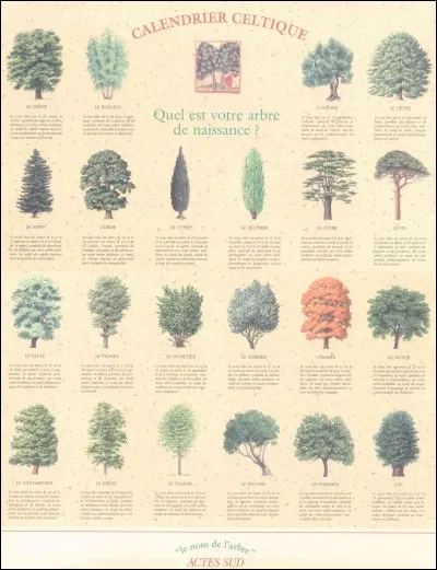 Quelle est la partie de l'arbre qui existe ?