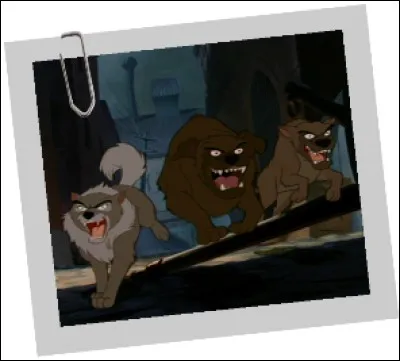 Dans quel Disney peut-on voir ces chiens errants ?