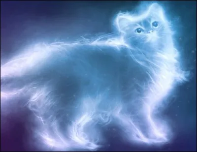 Quel est l'animal qui te représente, selon toi ?