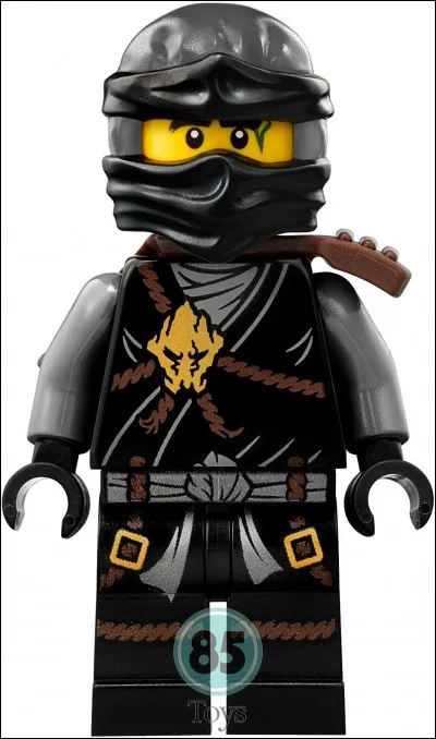 Quel est le pouvoir de Cole ?