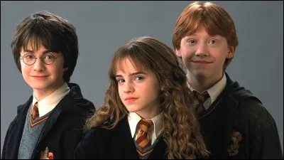 Quand Harry et Ronald rencontrent Hermione pour la première fois ?