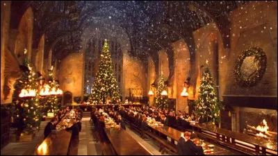 Quel cadeau Hagrid a-t-il donné à Harry pour noël ?