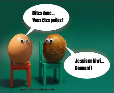 Lorsque le kiwi n'est pas un fruit mais un oiseau, de quel pays est-il emblématique ?