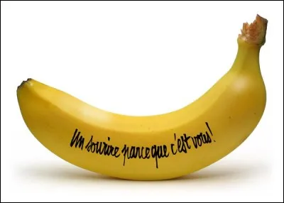 Si, ce n'est pas le fruit, où porte-t-on la banane habituellement ?